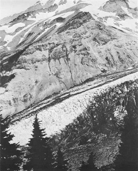 Nisqually Glacier