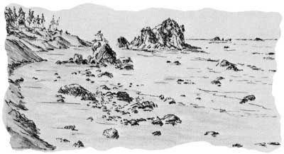 sea coast