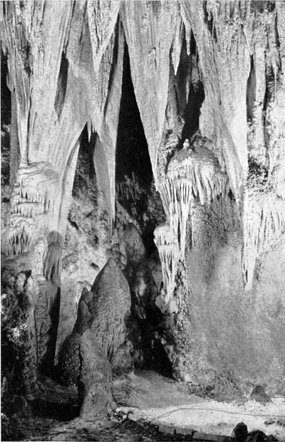 Carlsbad Caverns National Park