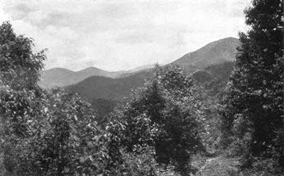Great Smoky Mountains National Park