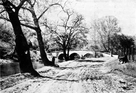 Burnside Bridge