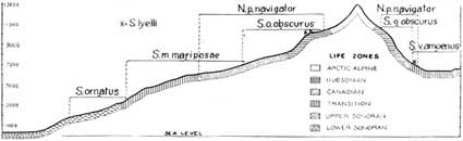 Cross-section of the Sierra Nevada