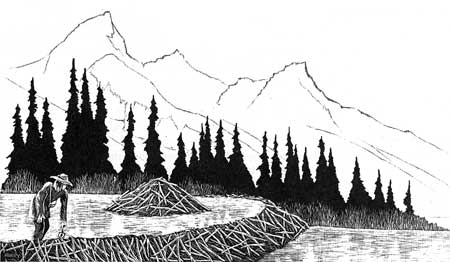 sketch of beaver lodge