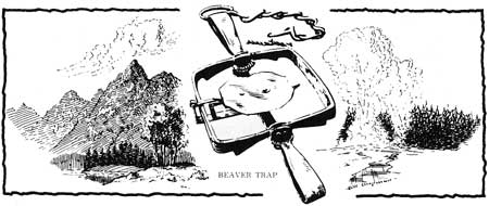 sketch of beaver trap