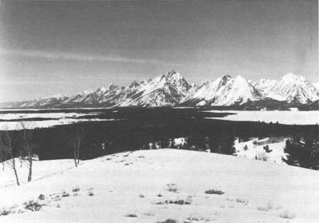 snow-covered Teton Range