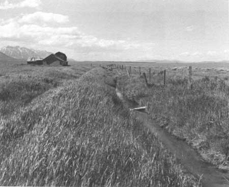 irrigation ditch