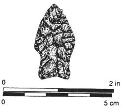 projectile point