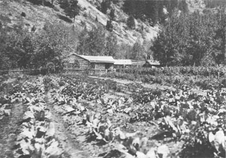 residence and field