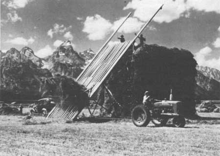 stacking hay