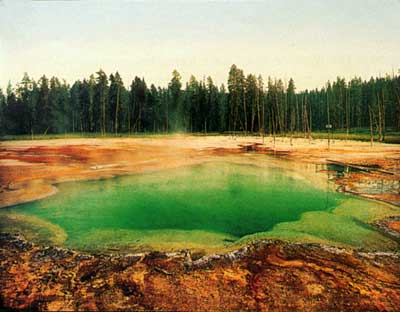 Thermal pool by Jackson,
1902