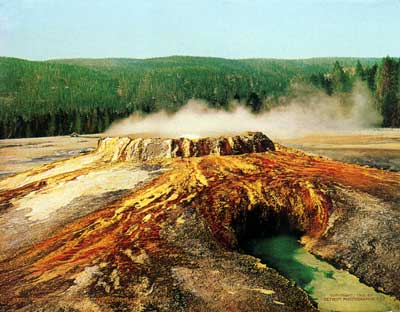 Punchbowl Spring by Jackson,
1902