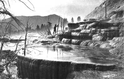 Mammoth Hot Springs by Jackson,
1902