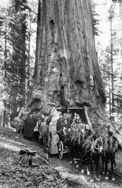 Yosemite NP