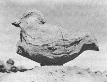 volcanic bomb