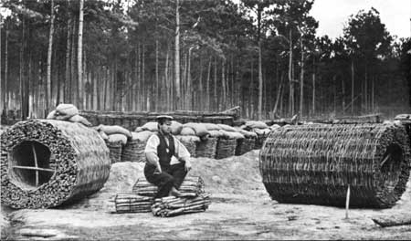 making sap rollers