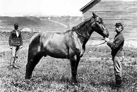 Comanche