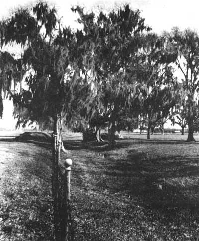 Rodriguez Canal