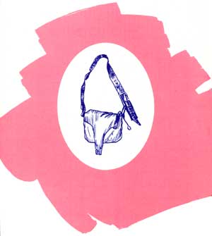 knapsack