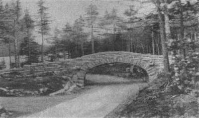 Bubble Pond Road and Bridge