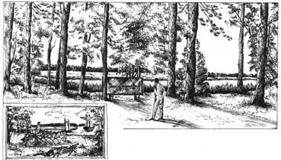 sketch of mural