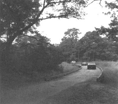 timber bridge
