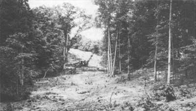 Woodland Valley Overlook