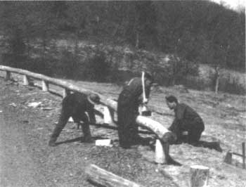 CCC workers