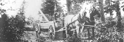Mormon pioneer