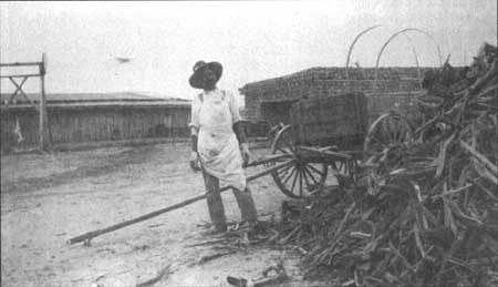 barn and matanza