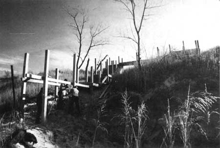 building a trail