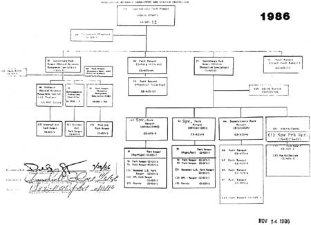 Organization Chart