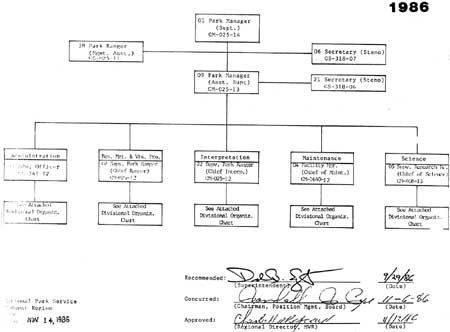 Organization Chart