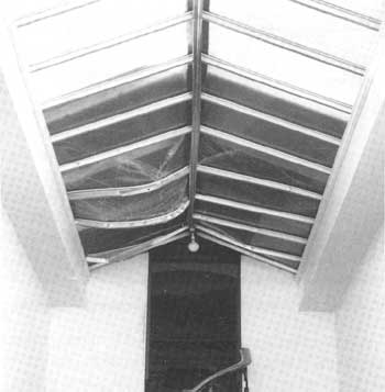 skylight damage