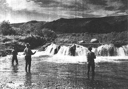 anglers at Brooks Falls