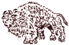 sketch of bison