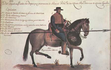 horse and rider