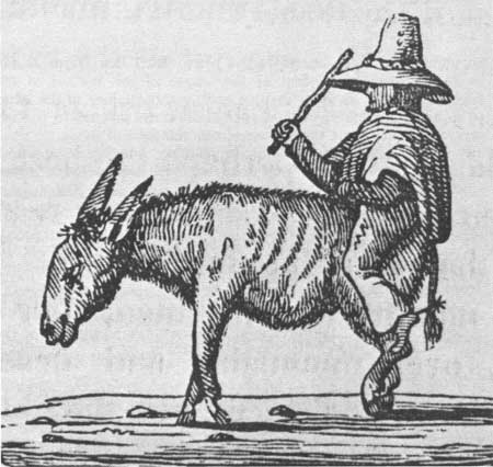 man riding mule