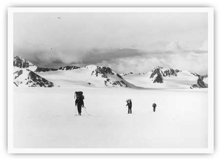 skiers