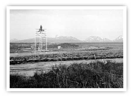 fish counting tower