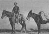 William Henry Jackson