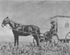 William Henry Jackson