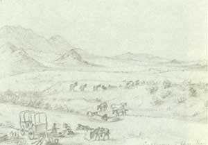Nevada desert