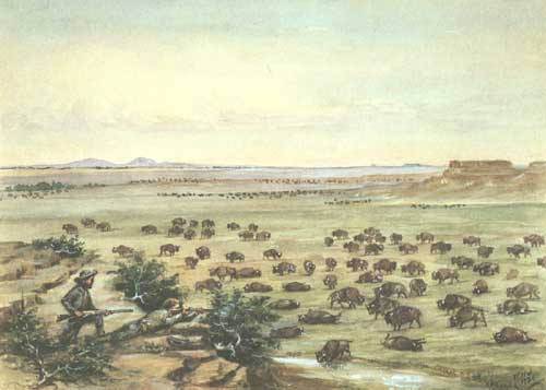 White Men Hunting Buffalo