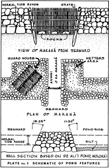sketch of Hawaiian fishpond features