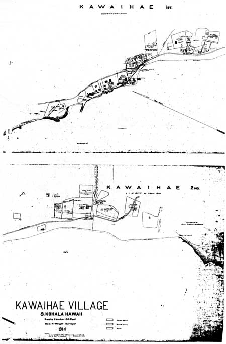 William Henry Jackson