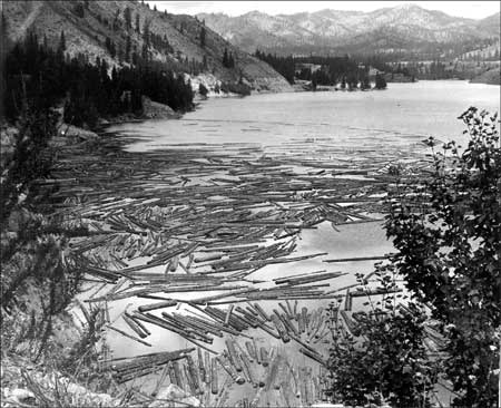 Log dump on the Sanpoil River