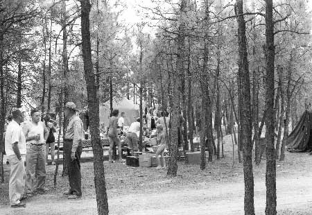 picnicers