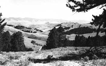 Lemhi Pass
