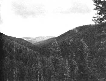 Lost Trail Pass
