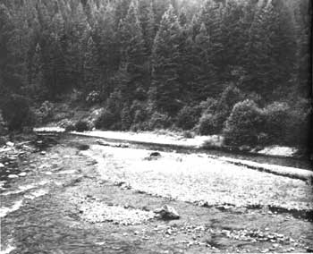 Lolo Creek